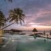 Palm Trees Near Body of Water during Sunset