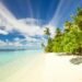 Green Trees Near Seashore Under Blue Sky