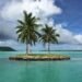 Coconut Trees Planted on Island