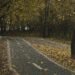 Park in Autumn