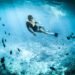 Photo of a Person Snorkeling